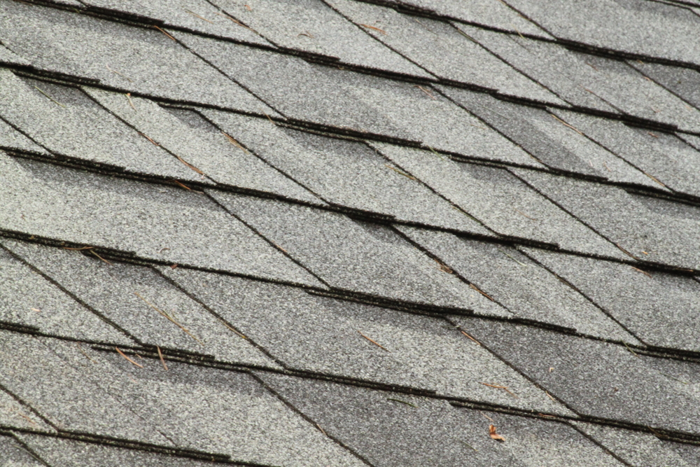 new roof shingles